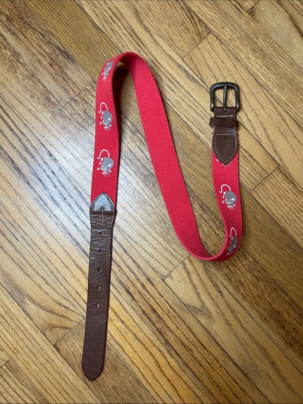 Urban Outfitters Red Woven Belt with Embroidered Mice & Brown Leather Trim